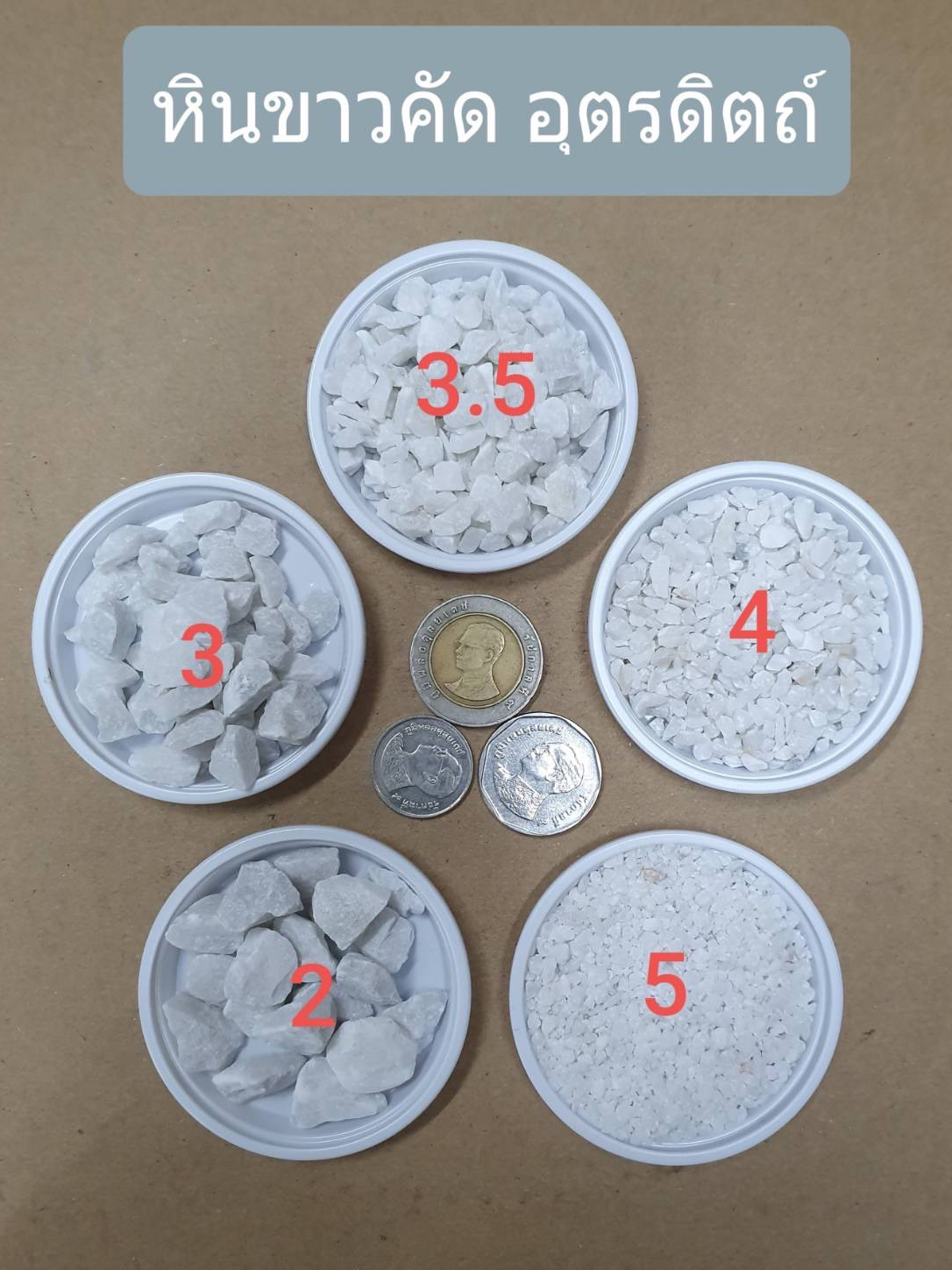 32 - https://รับทําพื้นหินขัด.com | ช่างสุกัญญารับทำหินขัด ทรายล้าง กรวดล้างครบวงจร ทั้งพื้นและผนัง โดยทีมช่างผู้เชี่ยวชาญมากประสบการณ์ พร้อมบริการทั่วประเทศ การันตีคุณภาพและความสวยงามในราคาที่คุ้มค่า